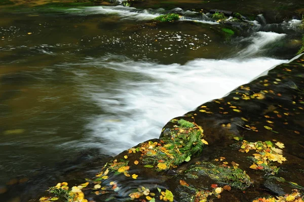 Detalle Río Otoño —  Fotos de Stock