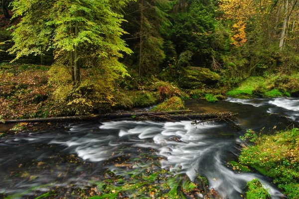 Φθινοπωρινά χρώματα ποταμού — Φωτογραφία Αρχείου
