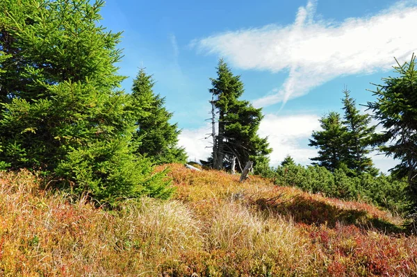 Veduta del paesaggio roccioso — Foto Stock