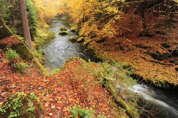Colori autunno fiume — Foto Stock