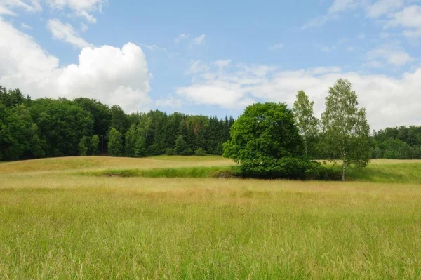 Schöne Sommerlandschaft — Stockfoto