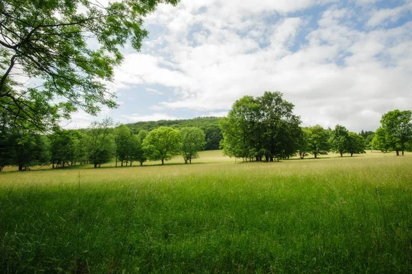 Hermoso paisaje de verano —  Fotos de Stock