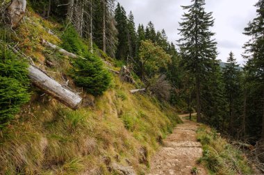 Kayalık manzara görünümünü