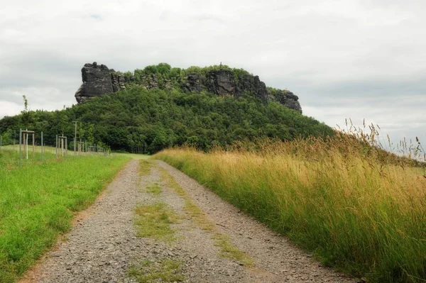 Smukke sommer landskab - Stock-foto