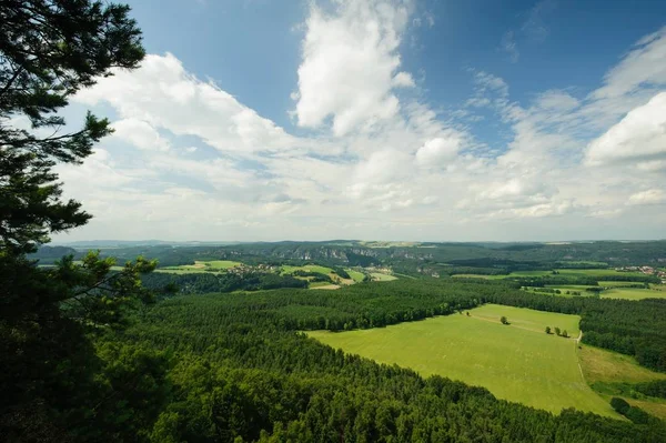 Piękny letni krajobraz — Zdjęcie stockowe