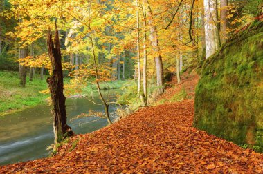 Sonbahar renkleri Nehri