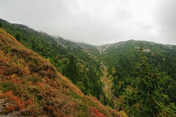 Vista da paisagem rochosa — Fotografia de Stock