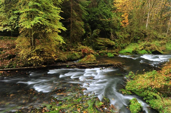 Couleurs d'automne rivière — Photo