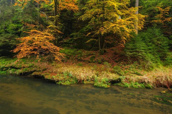 Sonbahar renkleri Nehri — Stok fotoğraf