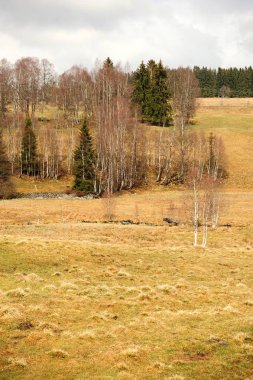 Sumava bahar peyzaj