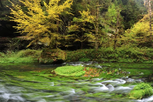 Podzimní barvy řeka — Stock fotografie