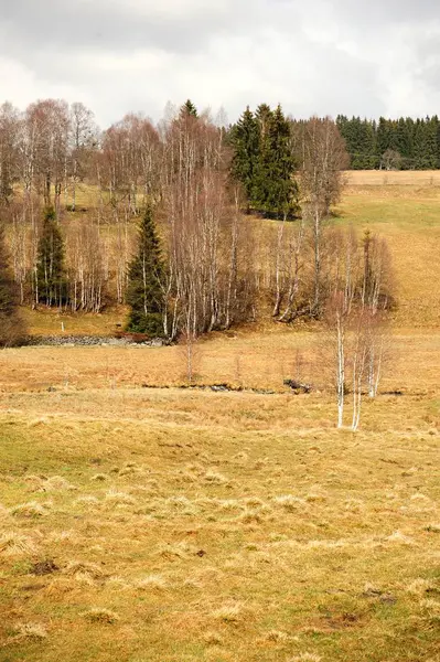 Kevään maisema Sumavassa — kuvapankkivalokuva