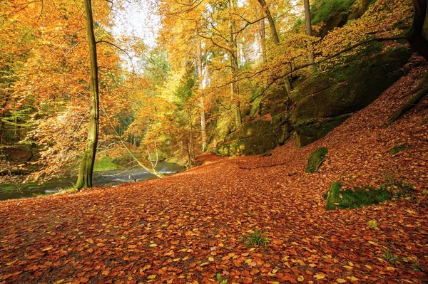 秋の色の川 — ストック写真