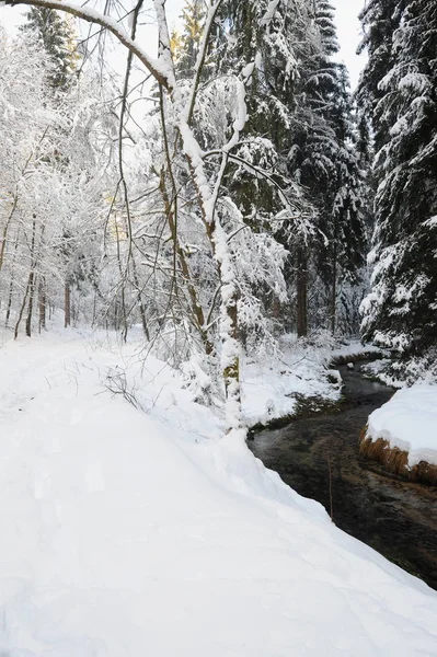 Winterlandschap van Boheems Zwitserland — Stockfoto