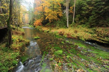 Sonbahar renkleri Nehri