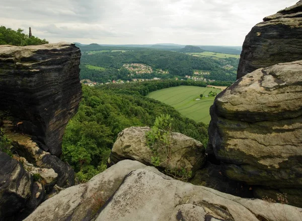 Beautiful summer landscape — Stock Photo, Image