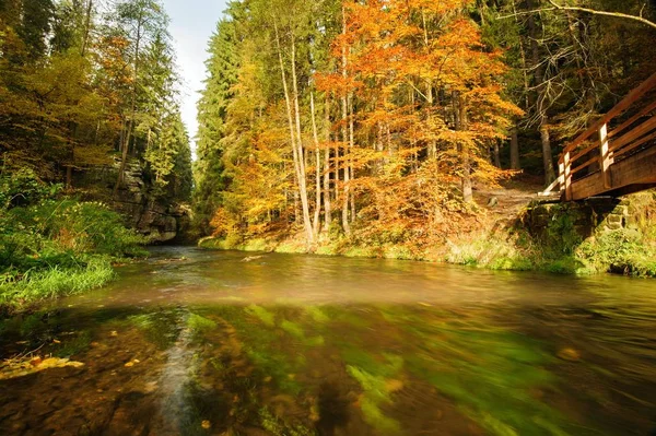 Φθινοπωρινά χρώματα ποταμού με ξύλινη γέφυρα — Φωτογραφία Αρχείου