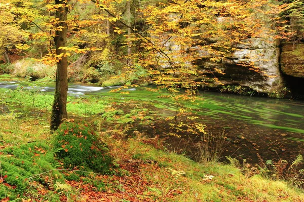 Sonbahar renkleri Nehri — Stok fotoğraf