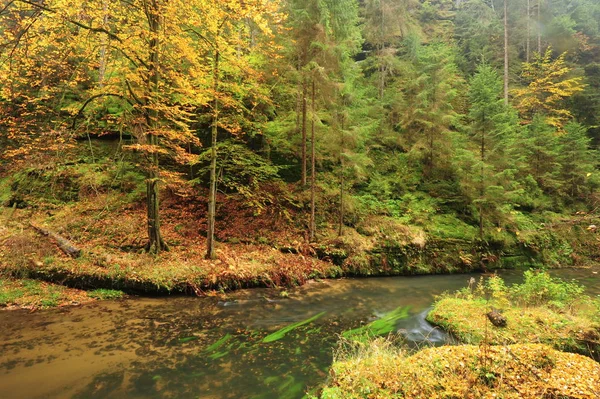 Herfst kleuren-rivier — Stockfoto