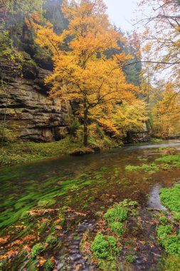 Sonbahar renkleri Nehri
