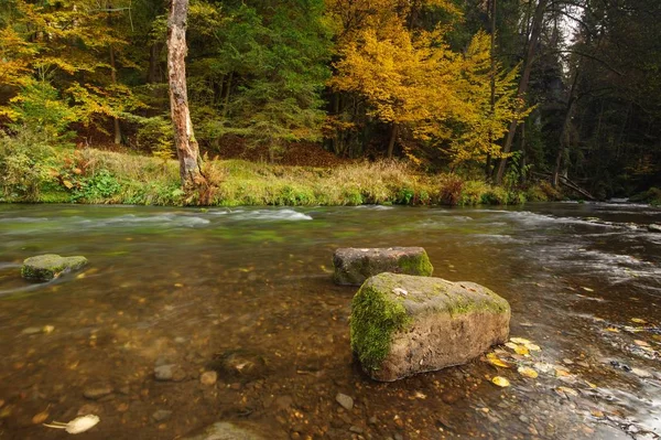 Podzimní barvy řeka — Stock fotografie