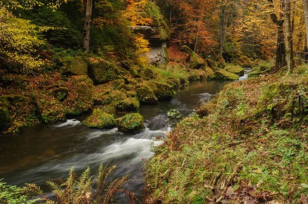 Jesienne kolory rzeki — Zdjęcie stockowe