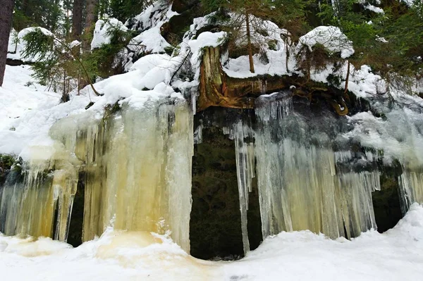 冰冻的瀑布和雪 — 图库照片
