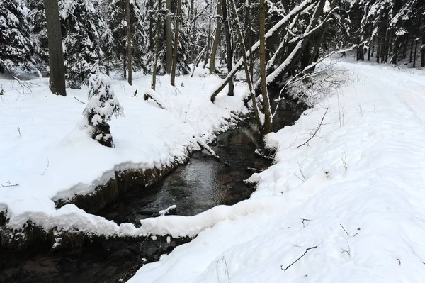 Winterlandschap van Boheems Zwitserland — Stockfoto