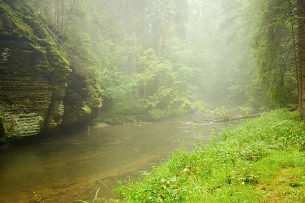 Fiume nella pioggia e nebbia — Foto Stock