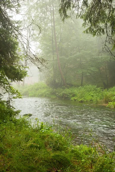 Río en lluvia y niebla —  Fotos de Stock