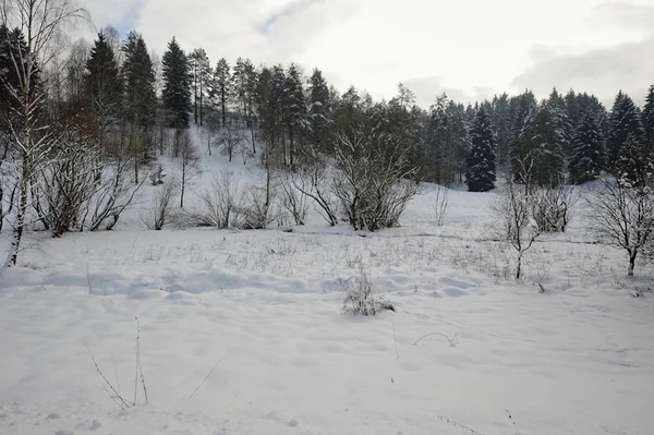 Paesaggio invernale della Svizzera boema — Foto Stock