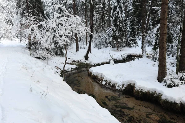 冬季景观的波希米亚瑞士 — 图库照片