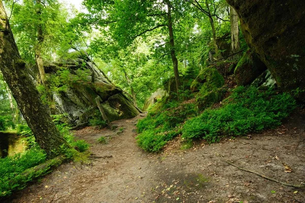 Sentiero forestale tra le rocce — Foto Stock