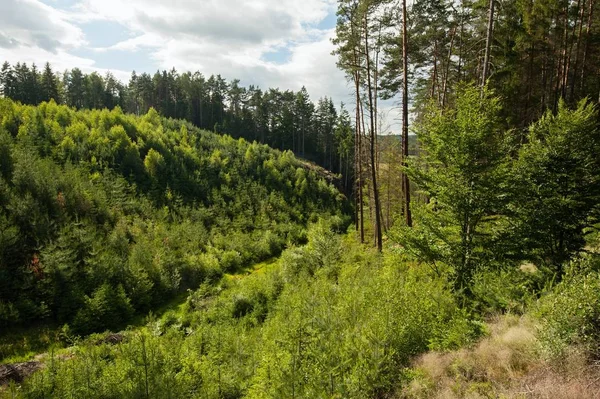 Summer landscape with forests, meadows rocks and sky — Stock Photo, Image