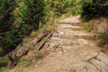 Taş dağ manzarası