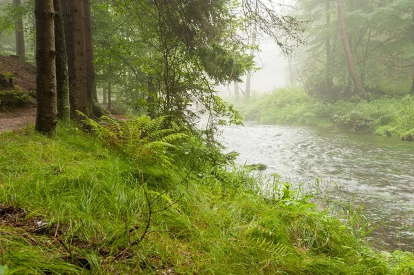 Fiume nella pioggia e nebbia — Foto Stock