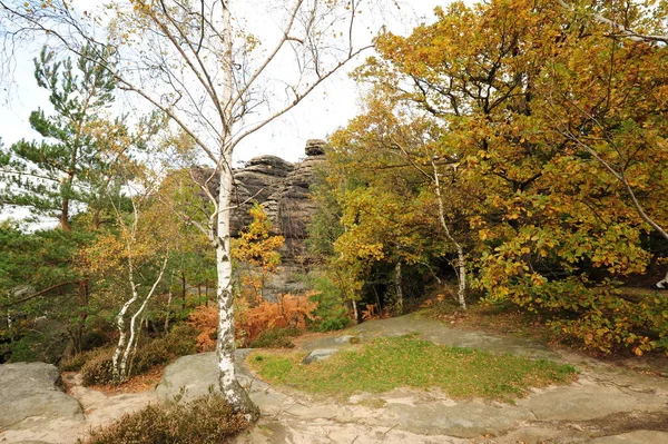 Efterår landskab - alle smukt farvet - Stock-foto