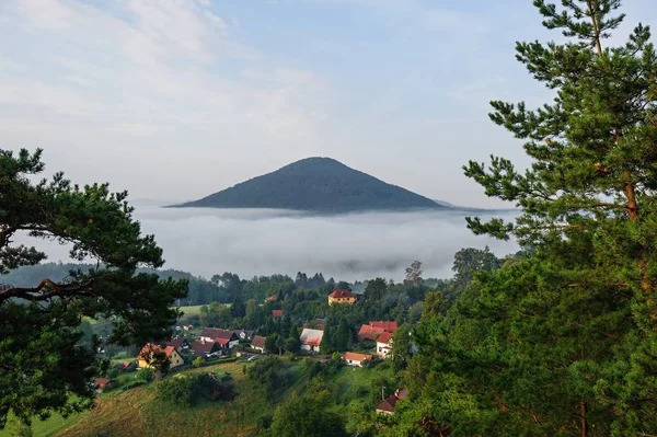 Mlhavá podzimní krajina — Stock fotografie