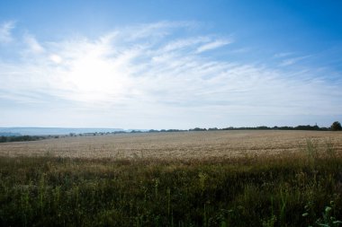 Gün doğumunda çayır ve buğday tarlası ile panoramik manzara