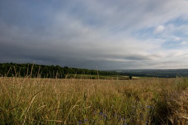 Fırtına öncesi sessizlik kırsal çayır panoramik