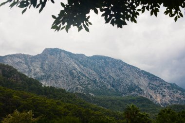 Dağlarda Sonbahar, Yağmurlu Gün