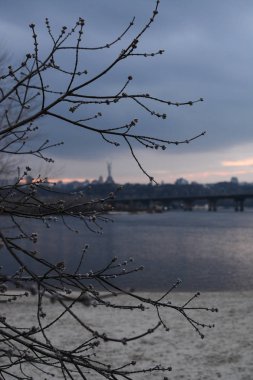 Kyiv, Ukrayna - Mart 2020. Paton Köprüsü manzaralı bahar şehri ve Dnipro Nehri 'nin sağ kıyısındaki ana vatan heykeli. Önplanda genç tomurcukları olan ağaç dalları. 