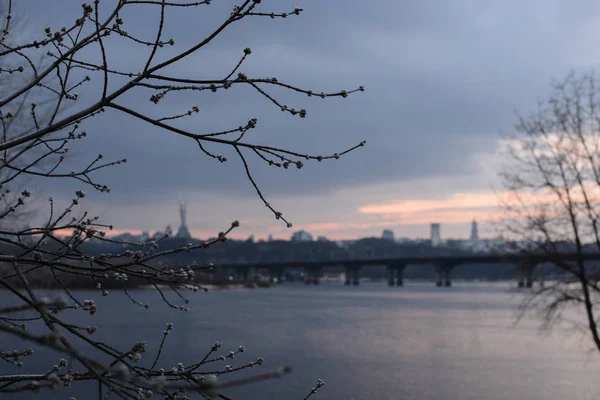 Киев Украина Март 2020 Весенний Городской Пейзаж Видом Патонский Мост — стоковое фото