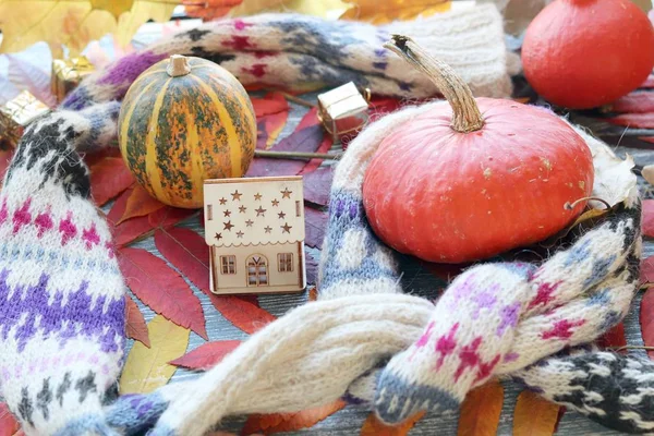 Herbstkomposition Aus Kürbissen Frischen Rosen Einem Spielzeughaus Blättern Auf Der — Stockfoto