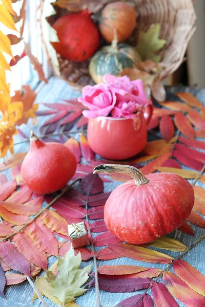 Composição Outono Abóboras Rosa Fresca Uma Xícara Folhas Peitoril Janela — Fotografia de Stock