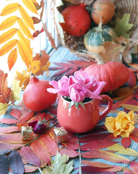 Jesienny Skład Dyni Świeże Róże Filiżance Liście Parapecie Święto Dziękczynienia — Zdjęcie stockowe