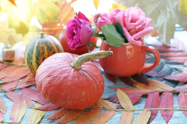 Autumn Composition Pumpkins Fresh Roses Cup Leaves Windowsill Thanksgiving Greetings — Stock Photo, Image