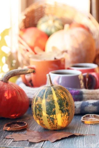 Three cups of coffee, pumpkins, leaves, a woolen scarf on a window background, the concept of home comfort, family, Thanksgiving, autumn season