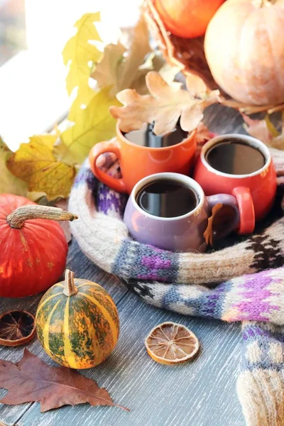 Three cups of coffee, pumpkins, leaves, a woolen scarf on a window background, the concept of home comfort, family, Thanksgiving, autumn season