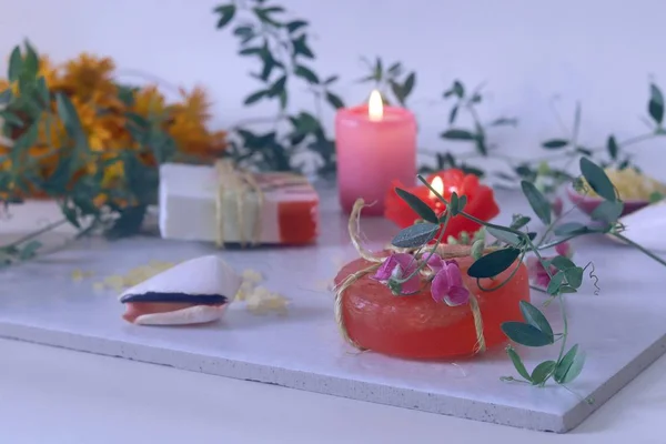 天然肥皂 浅色背景的贝壳 温泉治疗 季节性健康 身体护理 — 图库照片